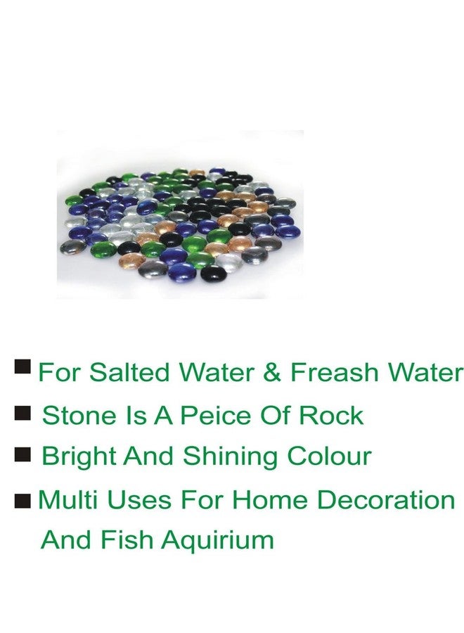 Somil Multicolor Pebbles/Stones for Garden, Plants, Lawns, Aquariums, Fish Pots, Home Decor, Vases, Furniture Filler. Size: 10-30mm, Shiny Multicolor -A518 - Image 2